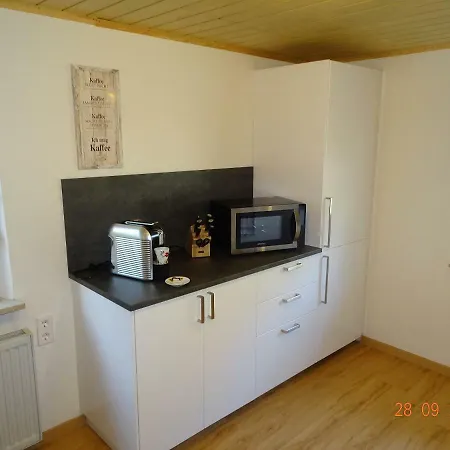 Ulmer Muenster Blick