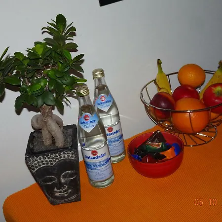 Ulmer Muenster Blick