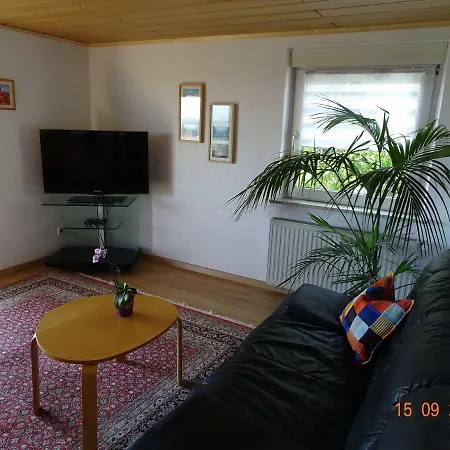 Ulmer Muenster Blick *