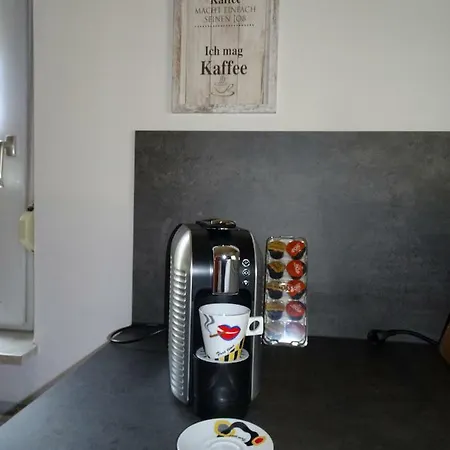 Ulmer Muenster Blick Elchingen